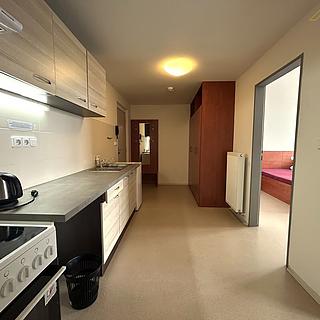 Pronájem bytu 2+1 46 m² České Budějovice 3, Jiráskovo nábř.