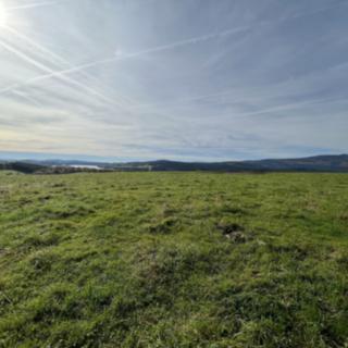 Prodej louky 8 530 m² Horní Planá Pernek