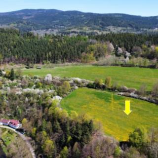 Prodej zemědělské půdy 15 428 m² Kájov Staré Dobrkovice