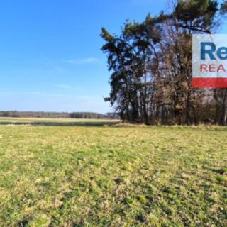 Prodej zemědělské půdy 28 479 m² Krakovany