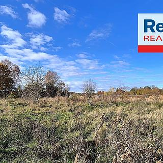 Prodej stavební parcely 1293 m² Sezemice