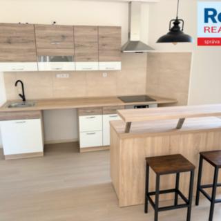 Pronájem bytu 1+kk a garsoniéry 47 m² Liberec IV-Perštýn, Na Perštýně