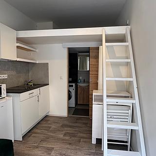 Pronájem bytu 1+kk a garsoniéry 14 m² Praha Žižkov, Husitská