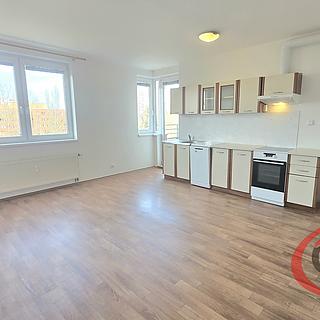 Pronájem bytu 2+kk 54 m² Praha Troja, Hnězdenská