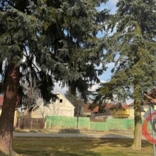 Prodej zemědělské usedlosti 910 m² Mišovice
