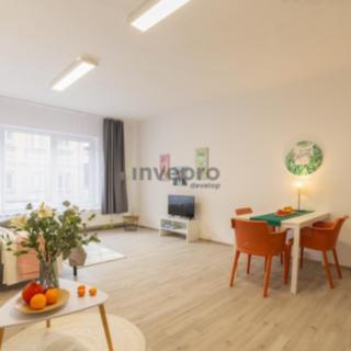 Pronájem bytu 1+kk, garsoniery 45 m² České Budějovice