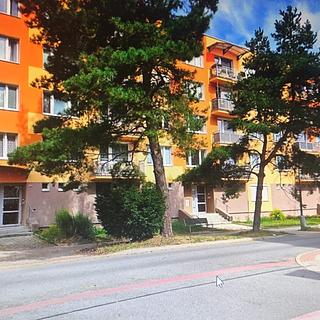 Pronájem bytu 1+kk a garsoniéry 20 m² Tábor, Pražského povstání