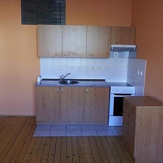 Pronájem bytu 1+1 60 m² Tábor, Údolní