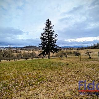 Prodej zahrady 1 054 m² Klatovy Tajanov