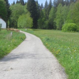 Prodej stavební parcely 6548 m² Horní Planá