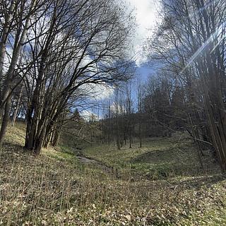 Prodej louky, 9974m&sup2;