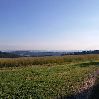 Prodej louky, 867m&sup2;