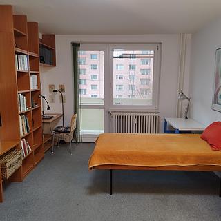 Pronájem bytu 1+1 41 m² Brno