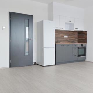 Pronájem bytu 1+kk a garsoniéry 34 m² Brno, Chvalovka