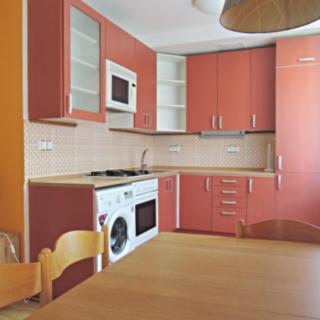 Pronájem bytu 2+kk 54 m² Brno Veveří, Dřevařská