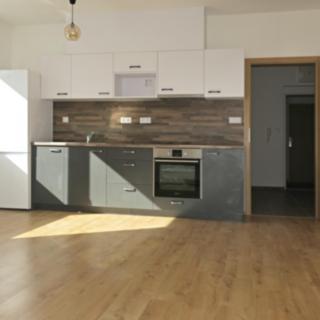 Pronájem bytu 2+kk 49 m² Brno Žebětín, Přírodní