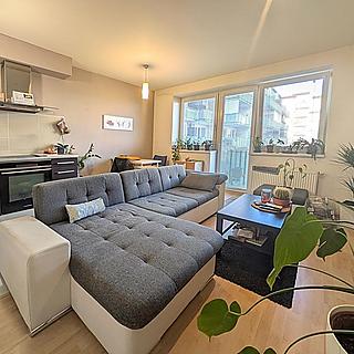 Prodej bytu 2+kk 53 m&sup2; Brno