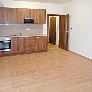 Pronájem bytu 1+kk a garsoniéry 38 m² Čakovičky, Střední