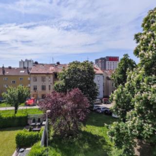 Pronájem bytu 2+kk 55 m² Praha
