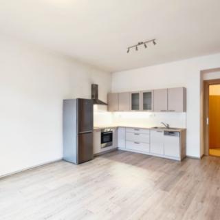Pronájem bytu 2+kk 75 m² Praha Holešovice, Schnirchova
