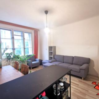 Pronájem bytu 1+1 53 m² Praha Žižkov, Buchovcova
