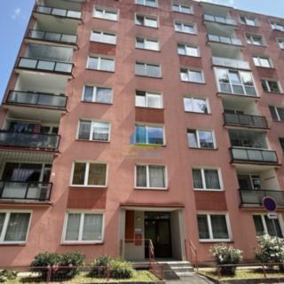 Prodej bytu 1+kk a garsoniéry 20 m² Cheb, Palackého