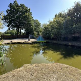 Prodej stavební parcely 1217 m² Františkovy Lázně