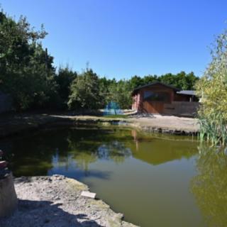 Prodej stavební parcely 1 217 m² Františkovy Lázně Krapice