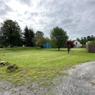 Prodej stavební parcely 849 m² Plesná Lomnička