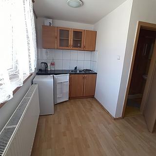 Pronájem bytu 1+kk a garsoniéry 20 m² Brno Ořešín