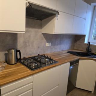 Pronájem bytu 2+1 54 m² Brno Staré, Výstavní