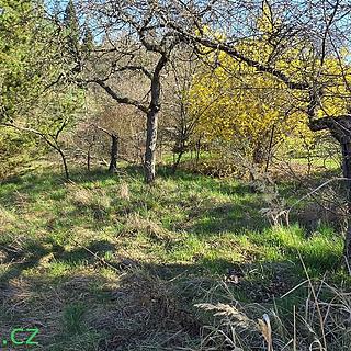 Prodej zahrady 793 m² Modřice