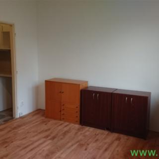 Pronájem bytu 1+kk a garsoniéry 20 m² Brno Veveří, Hoppova