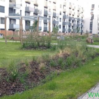 Pronájem bytu 2+kk 54 m² Brno