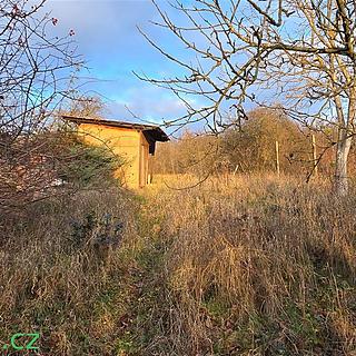 Pronájem zahrady 1 359 m² Brno Řečkovice, Podhájí