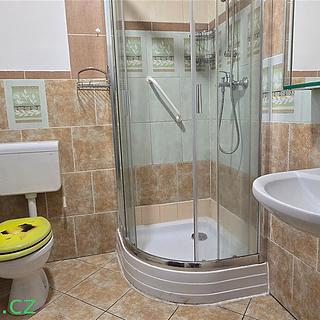 Pronájem bytu 1+1 37 m² Brno Husovice, Dukelská třída