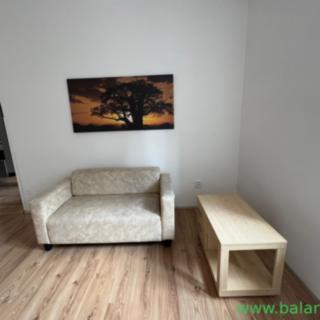 Pronájem bytu 1+1 42 m² Strážek