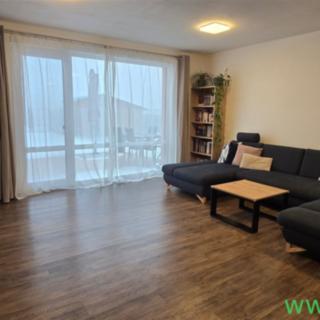 Prodej rodinného domu 132 m² Lavičky