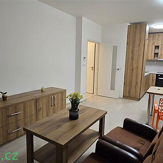 Pronájem bytu 3+kk 70 m² Brno Ponava, Reissigova