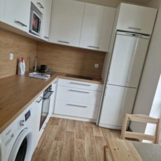 Pronájem bytu 2+1 58 m² Brno Staré, Výstavní
