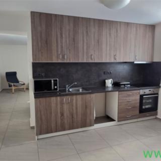 Pronájem bytu 3+1 62 m² Tučapy