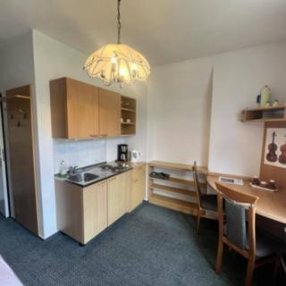 Pronájem bytu 1+kk a garsoniéry 23 m² Pěnčín Dolní Černá Studnice