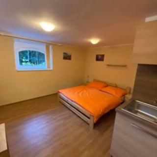 Pronájem bytu 1+kk, garsoniery 33 m² Liberec