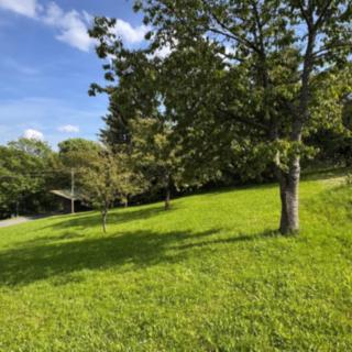 Prodej stavební parcely 809 m² Jestřabí v Krkonoších