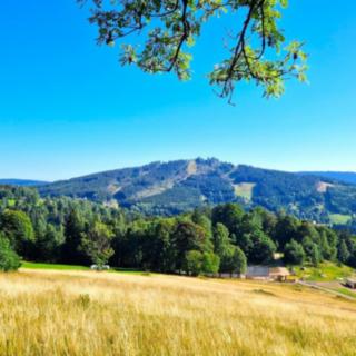 Prodej stavební parcely 1587 m² Albrechtice v Jizerských horách