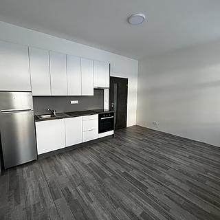 Pronájem bytu 1+kk a garsoniéry 26 m² Liberec XVII-Kateřinky, Kateřinská