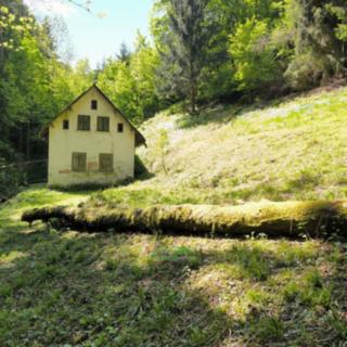 Prodej rodinného domu 100 m² Koberovy