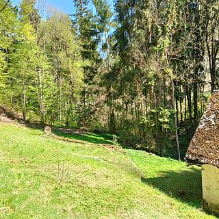 Prodej stavební parcely 3 282 m² Koberovy Chloudov
