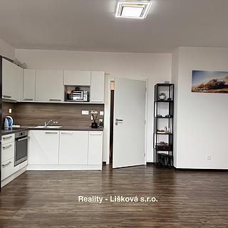 Pronájem bytu 1+kk a garsoniéry 40 m² Ústí nad Labem Ústí nad Labem-centrum, Velká Hradební