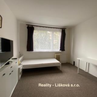 Pronájem bytu 1+kk a garsoniéry 21 m² Ústí nad Labem -centrum, SNP